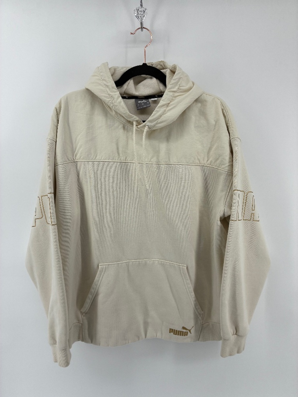 Puma Mens Hoodie in Ivory Glow